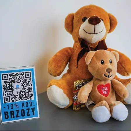 Pod Brzozami Sloneczne Appartement