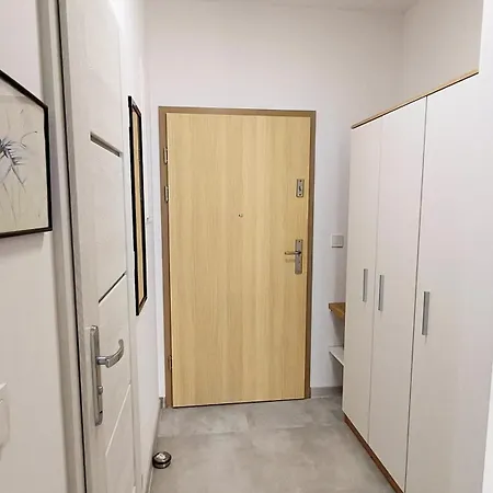 Pod Brzozami Sloneczne