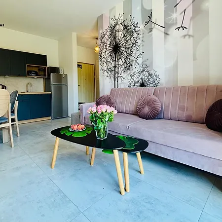 Pod Brzozami Sloneczne Apartamento *